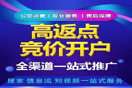 SEM代理助力企业：成功案例分析